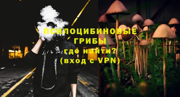 винт Аркадак